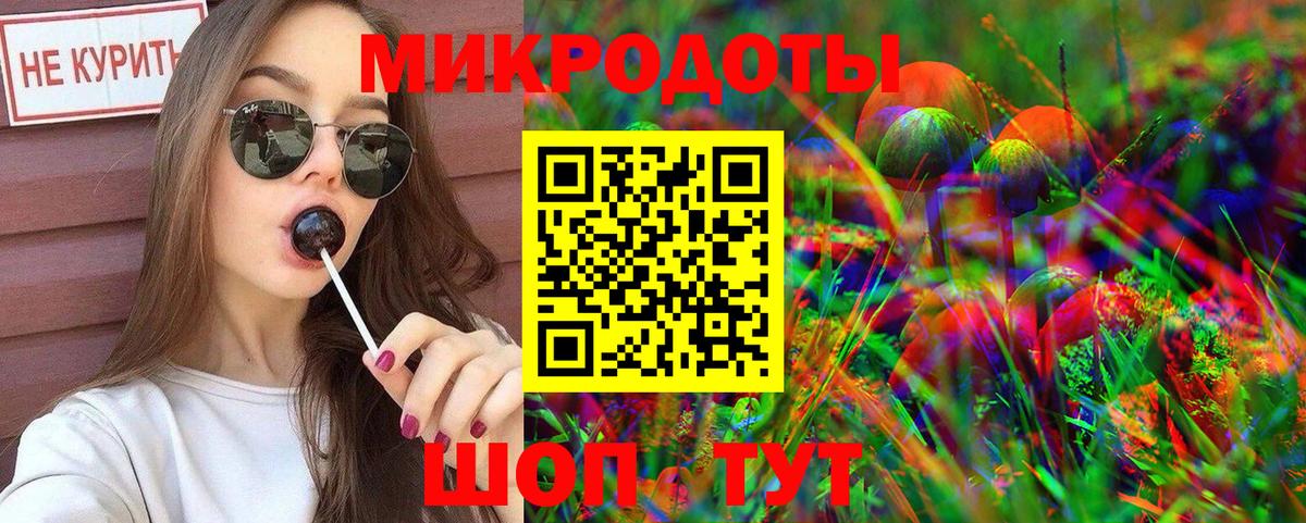 Галлюциногенные грибы Psilocybe Краснодар