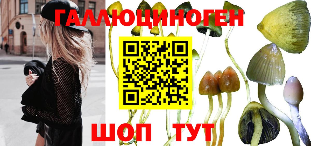 Галлюциногенные грибы MAGIC MUSHROOMS  Вход с VPN  Краснодар  Галлюциногенные грибы мухоморы 